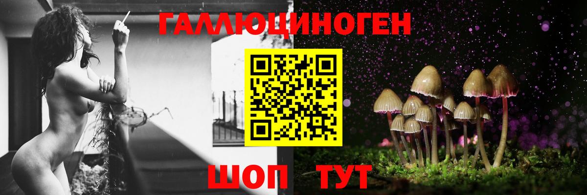 Псилоцибиновые грибы ЛСД  закладки  Владимир  Вход с VPN 